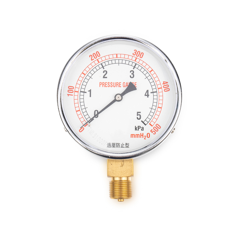 マイクロマネメーター