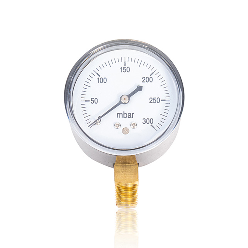 マイクロマネメーター